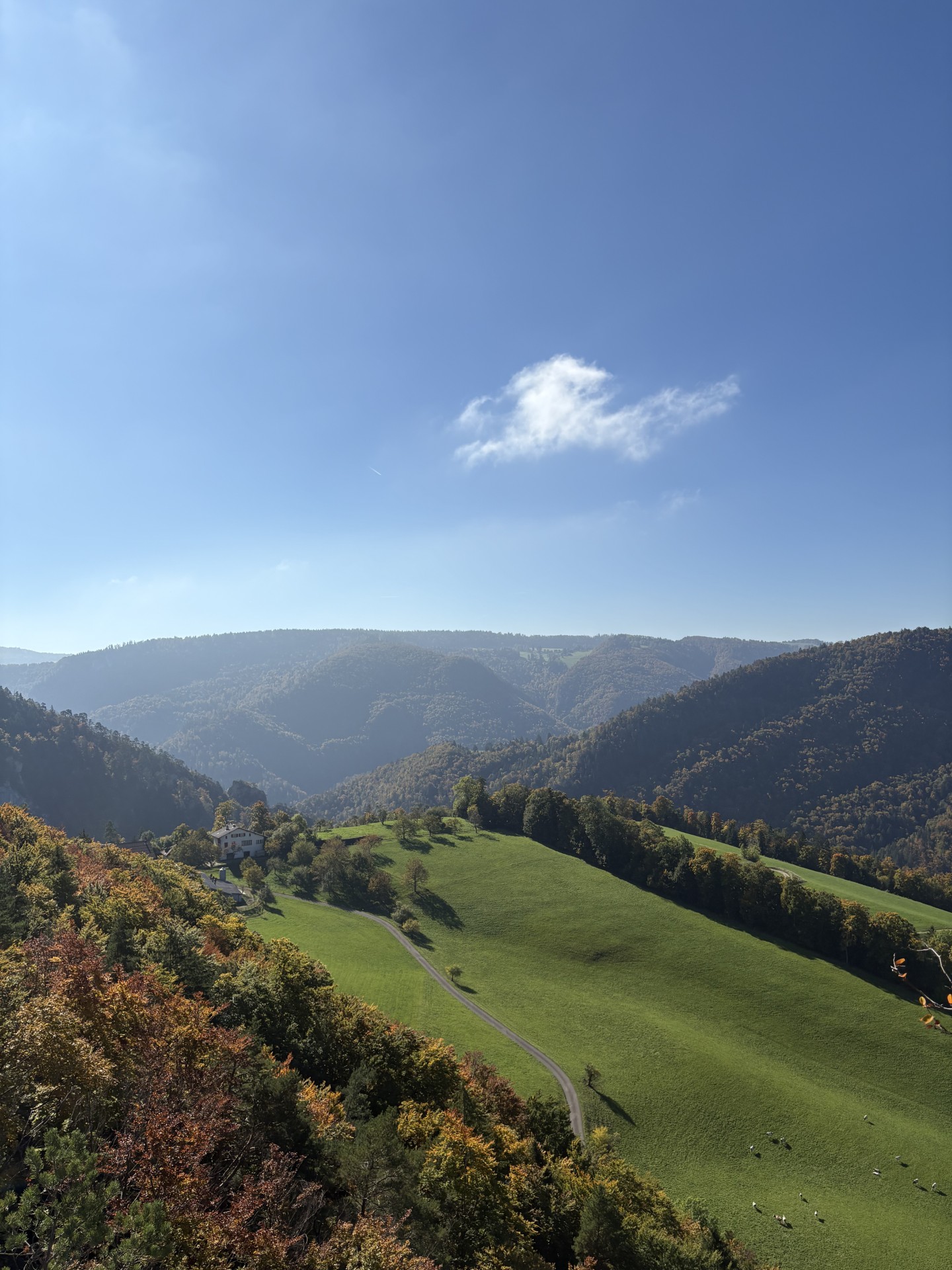 Herbstliche Landschaft bei La Jacotterie