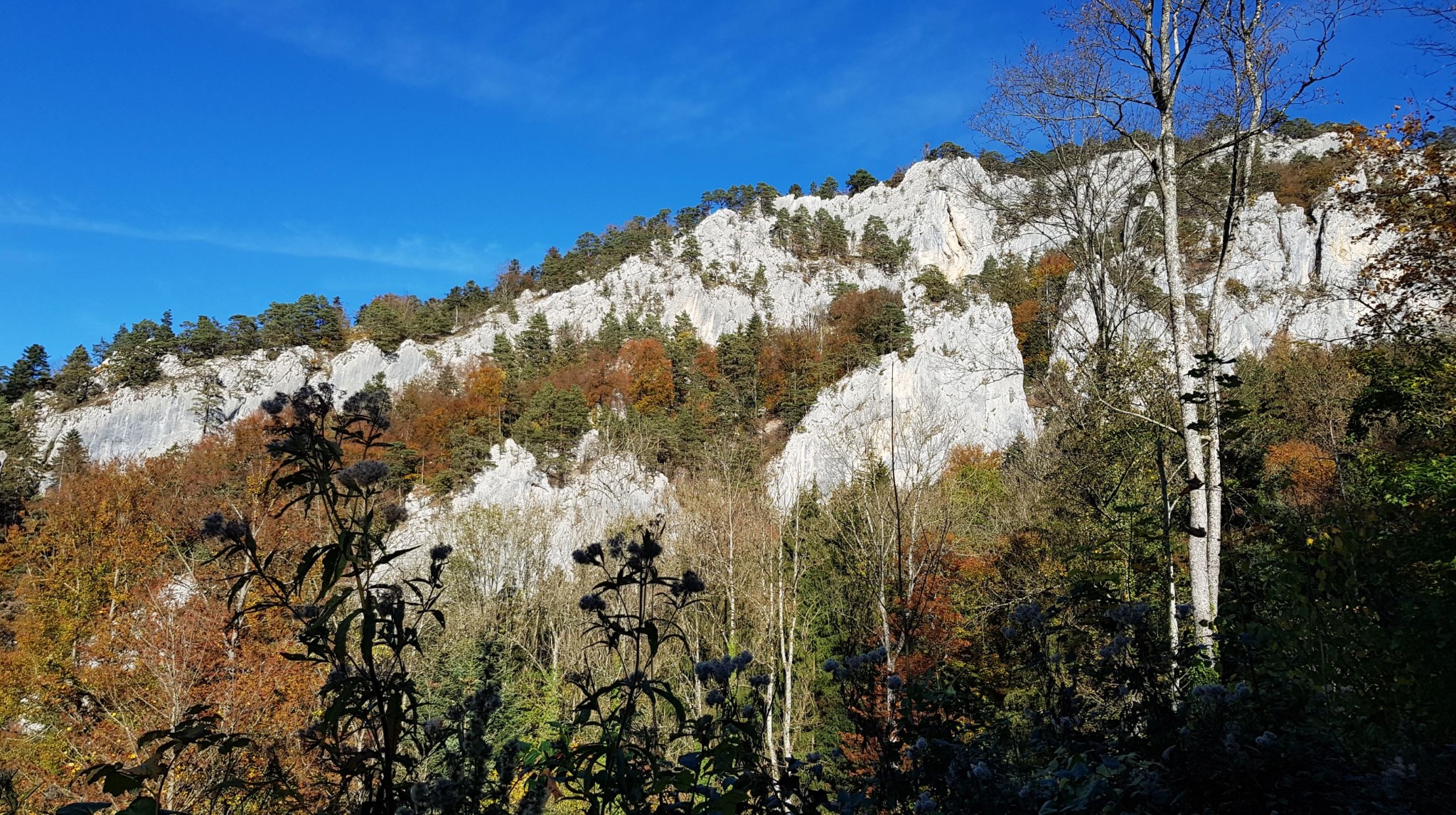 Felsen bei La Jacotterie im Herbst